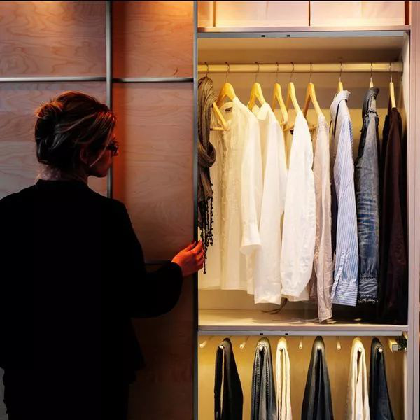 What kind of wardrobe lights and shelf lights are generally installed in stylish wardrobes?  (figure 1)